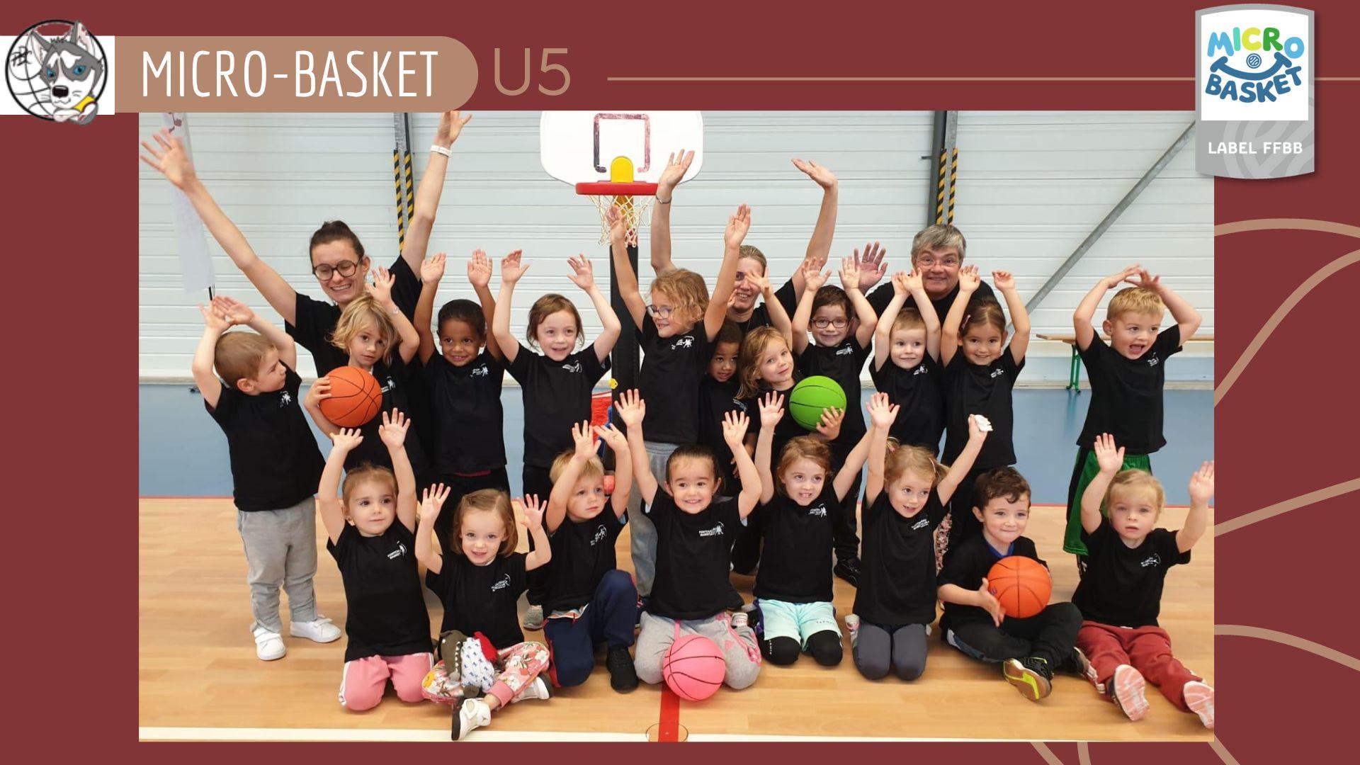 Micro basket